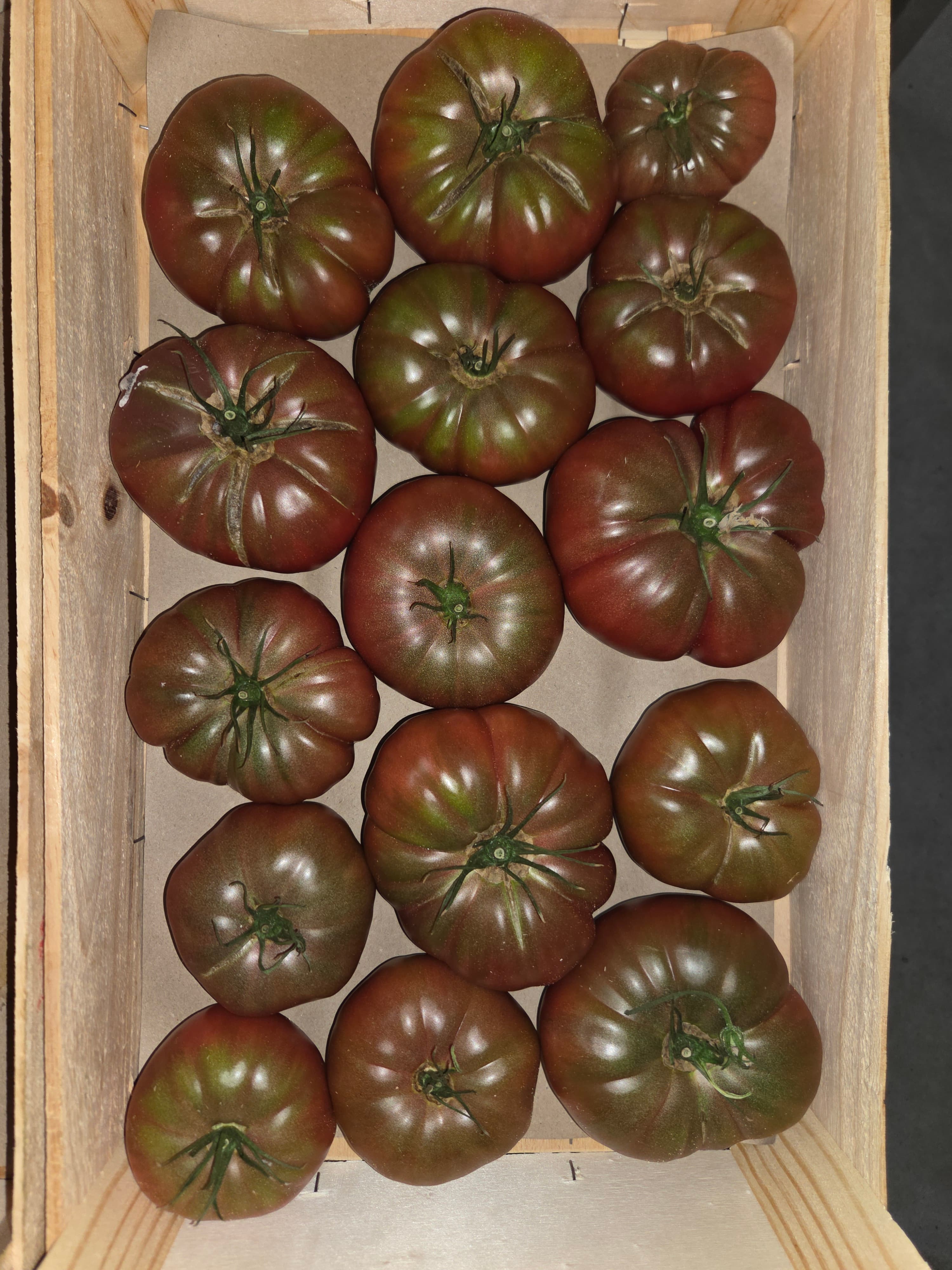 Zwarte Tomaten
