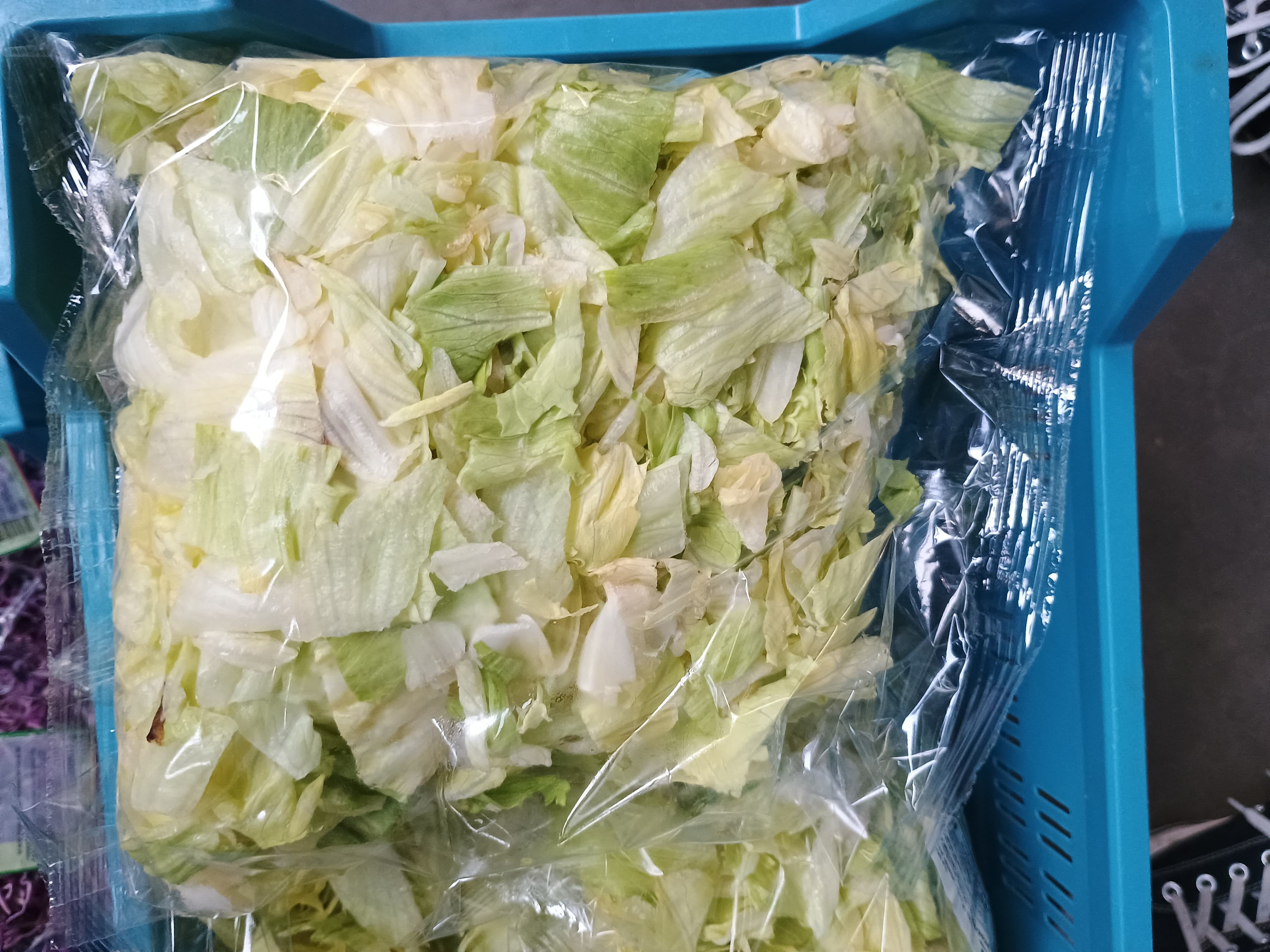 Iceberg Sla