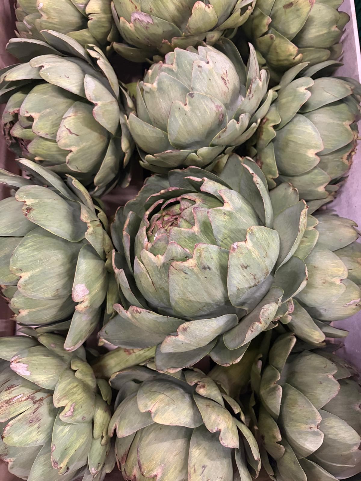 Artisjok