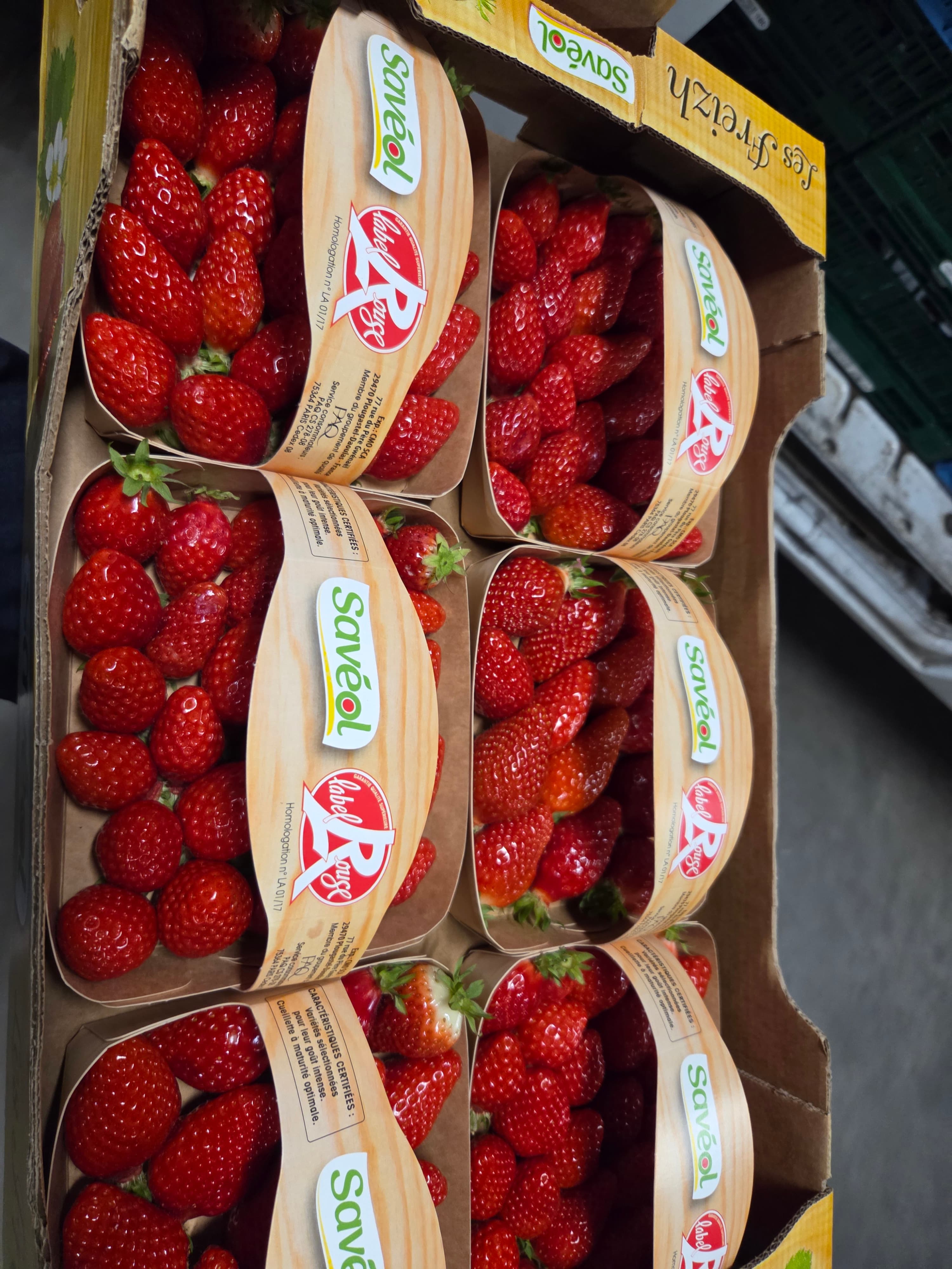 Aardbei Garigette