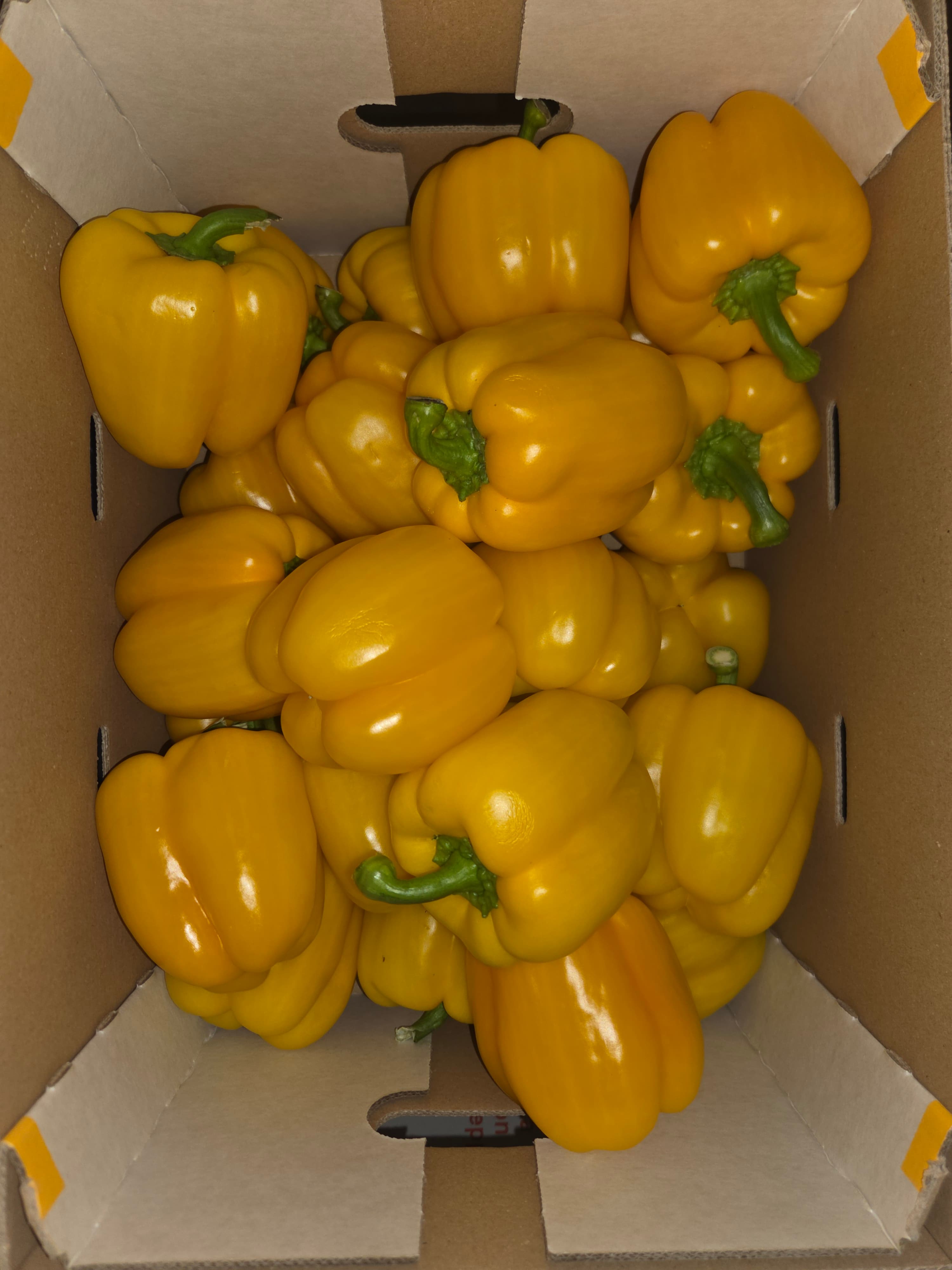 Gele Paprika