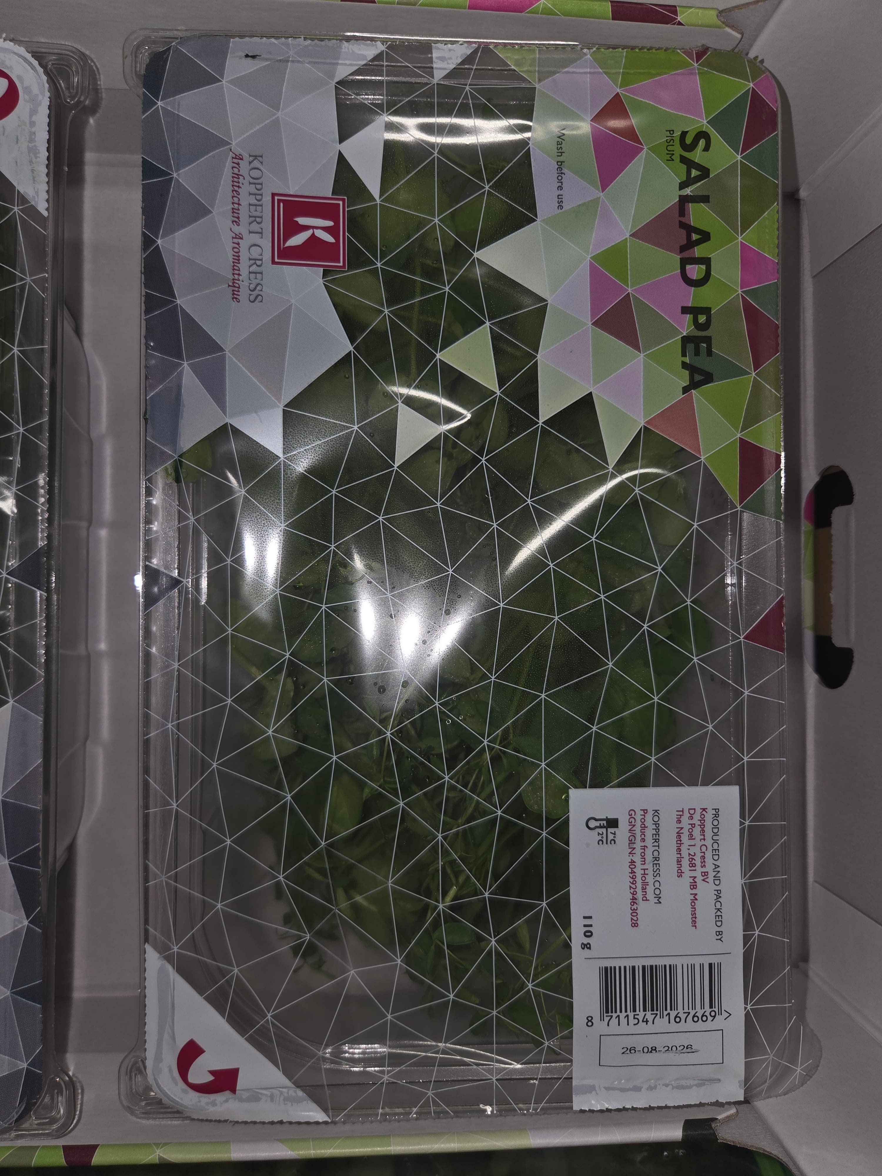 Salad Pea