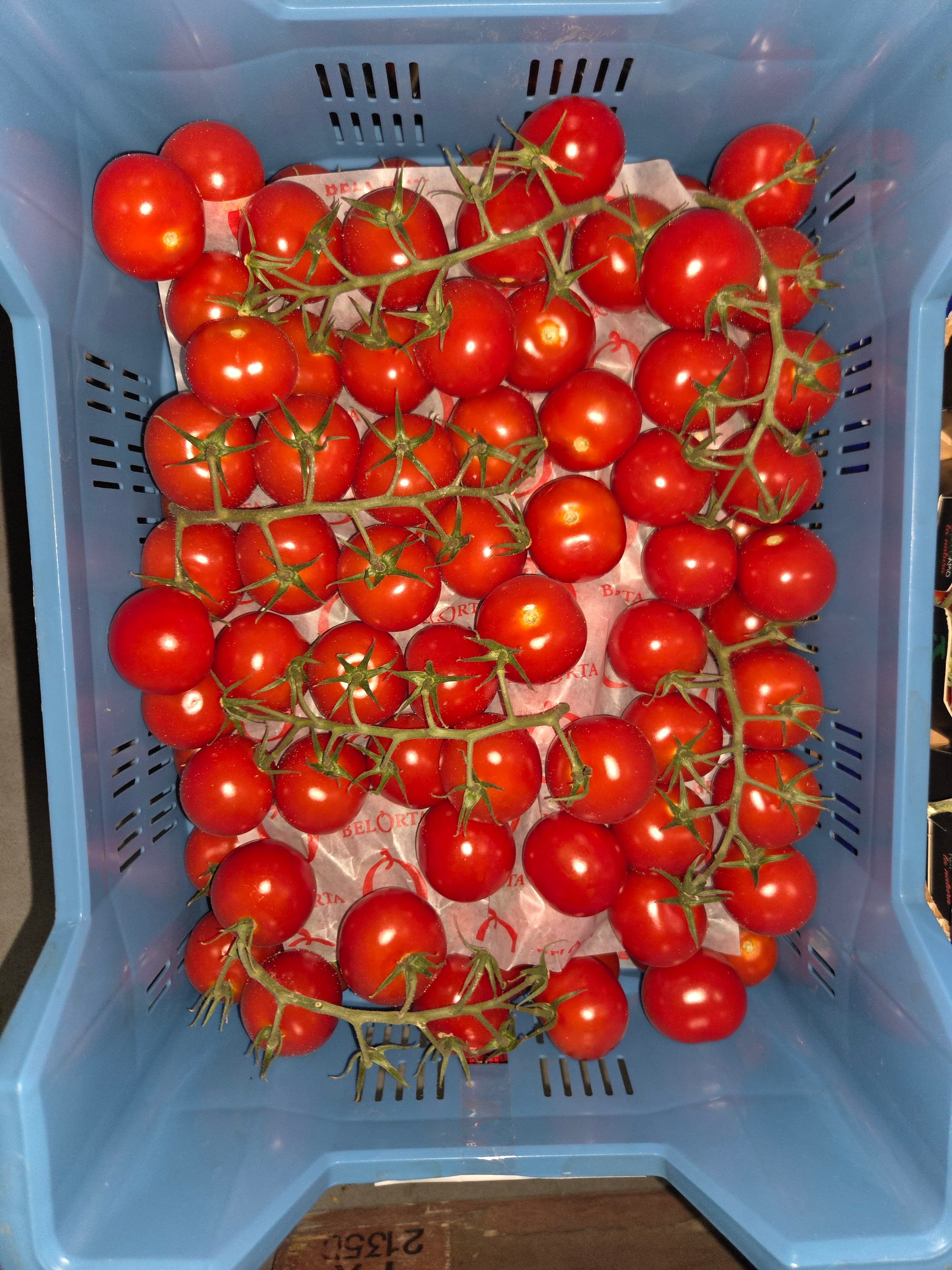 Mini Star Tomaten