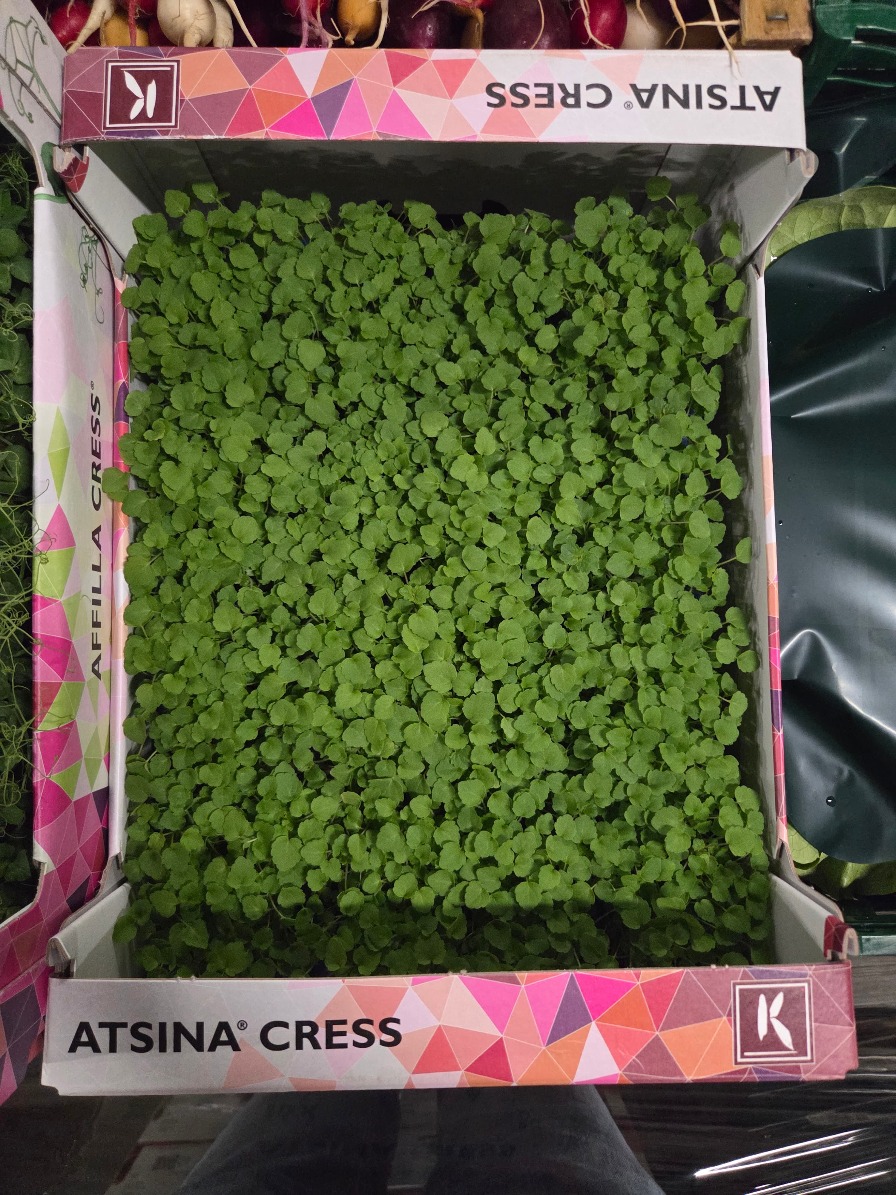 Atsina Cress