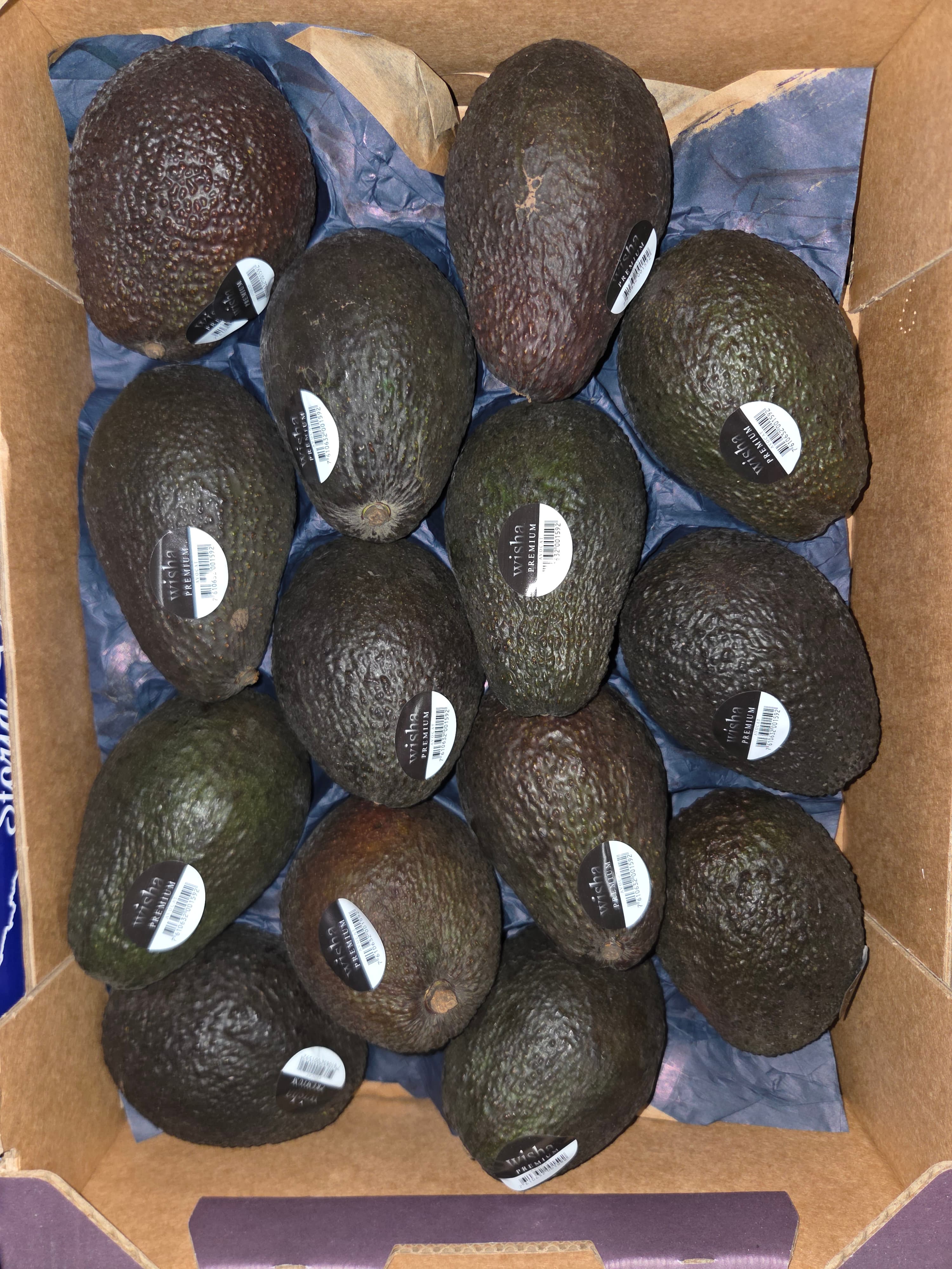 Avocado