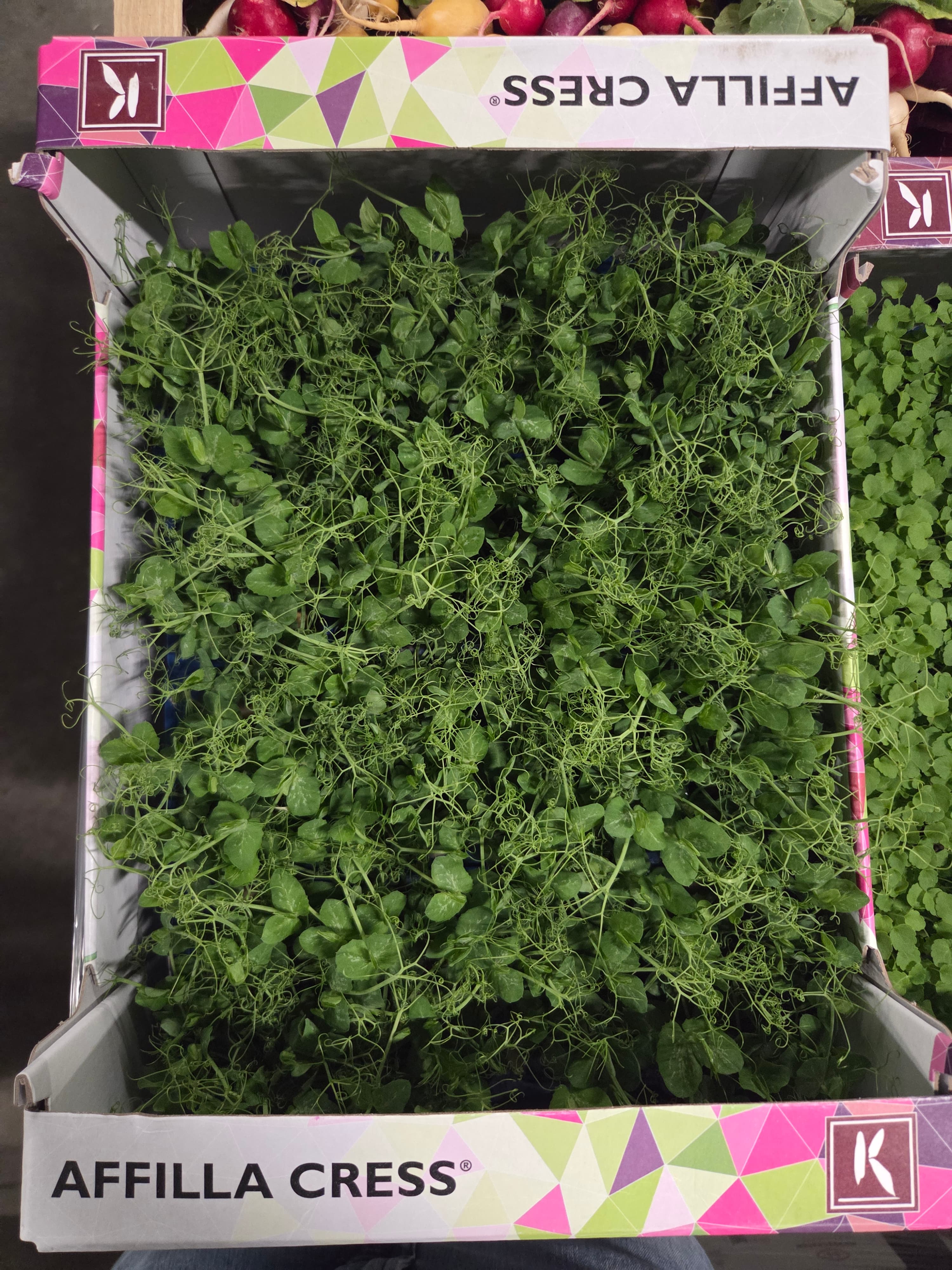 Affila Cress