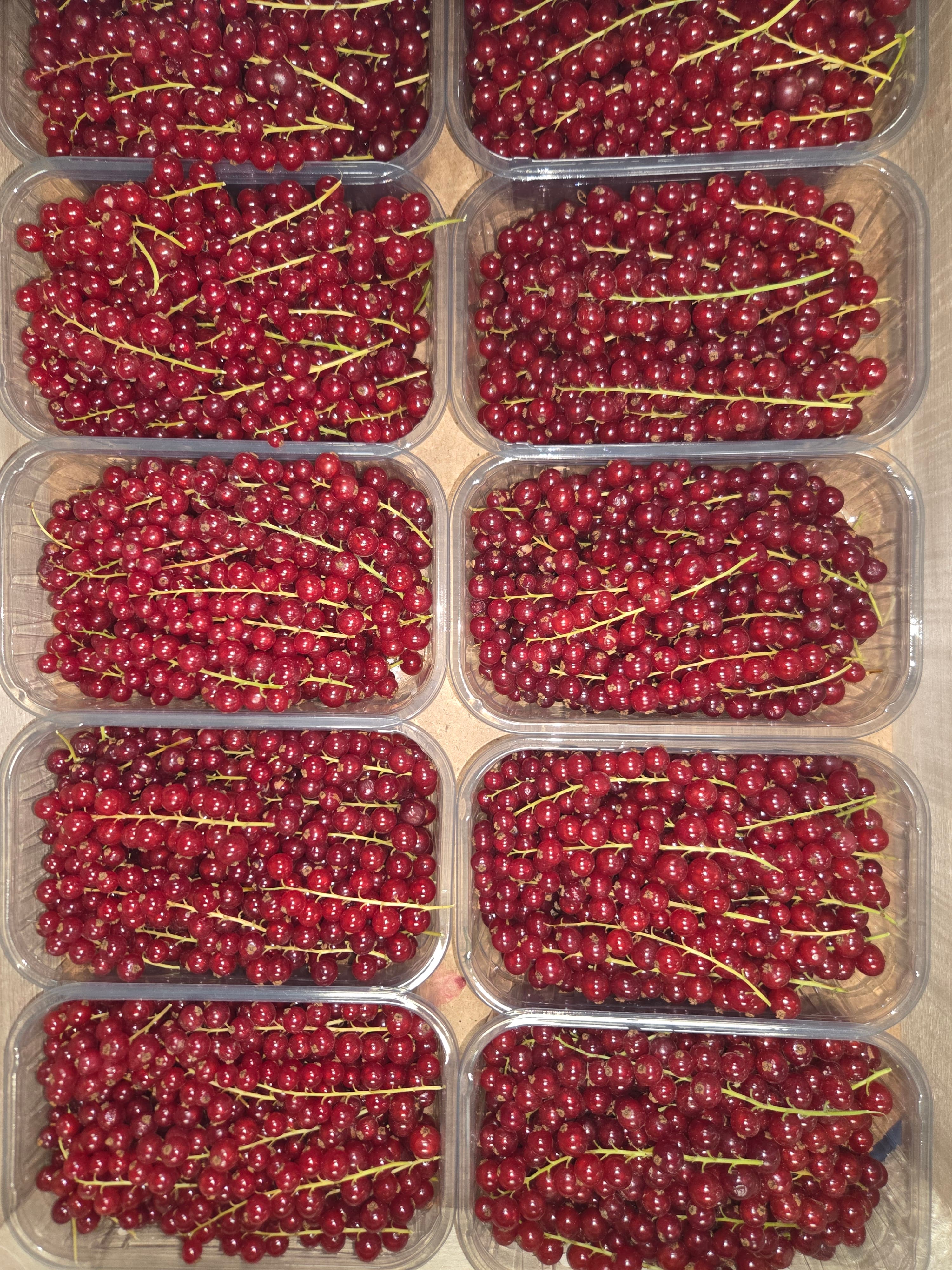 Trosbessen Be 500gr