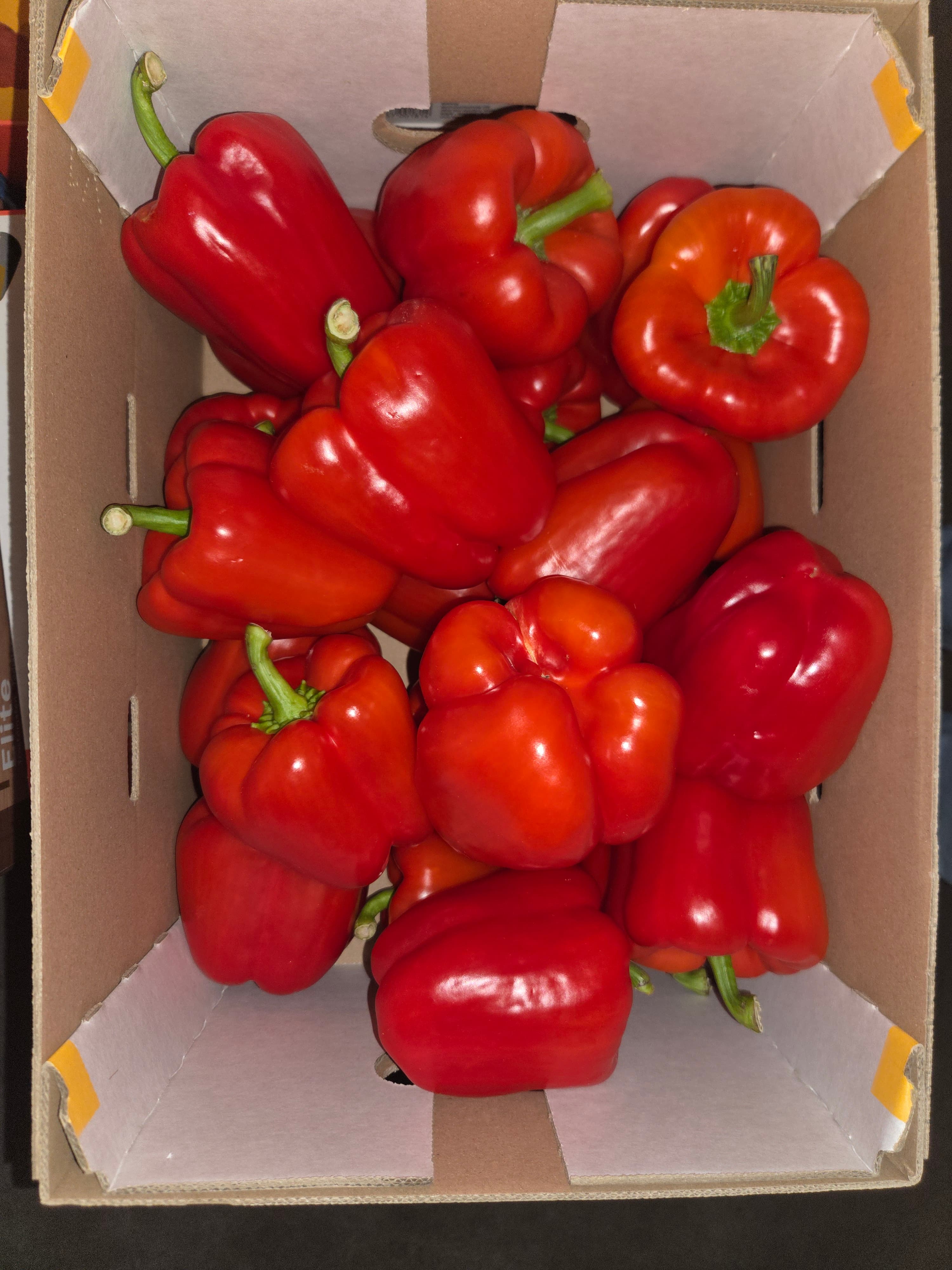 Rode Paprika