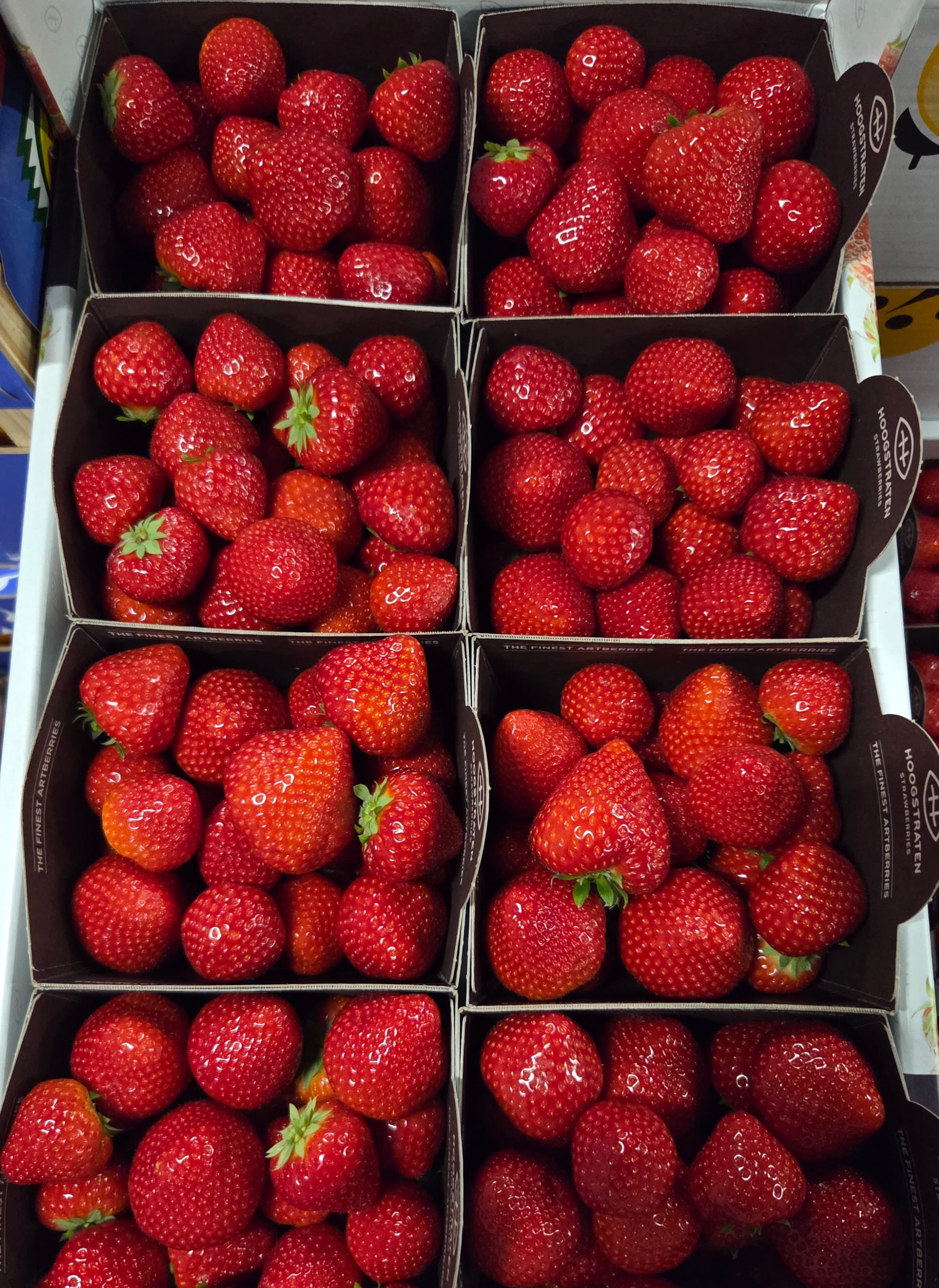 Aardbei